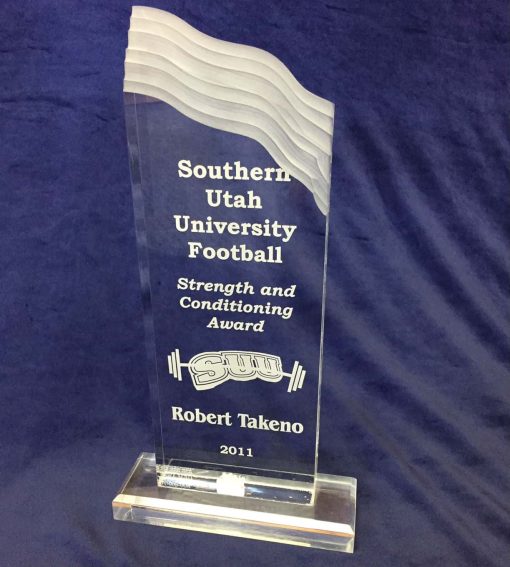 Wave Acrylic Trophy Wave Acrylic Trophy