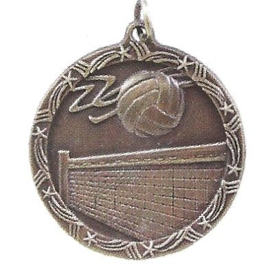 Economy Volleyball Medal