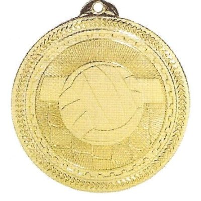 Volleyball Medal