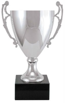 Metal Silver Cup Trophy