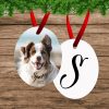 Oval Pet Photo Ornament
